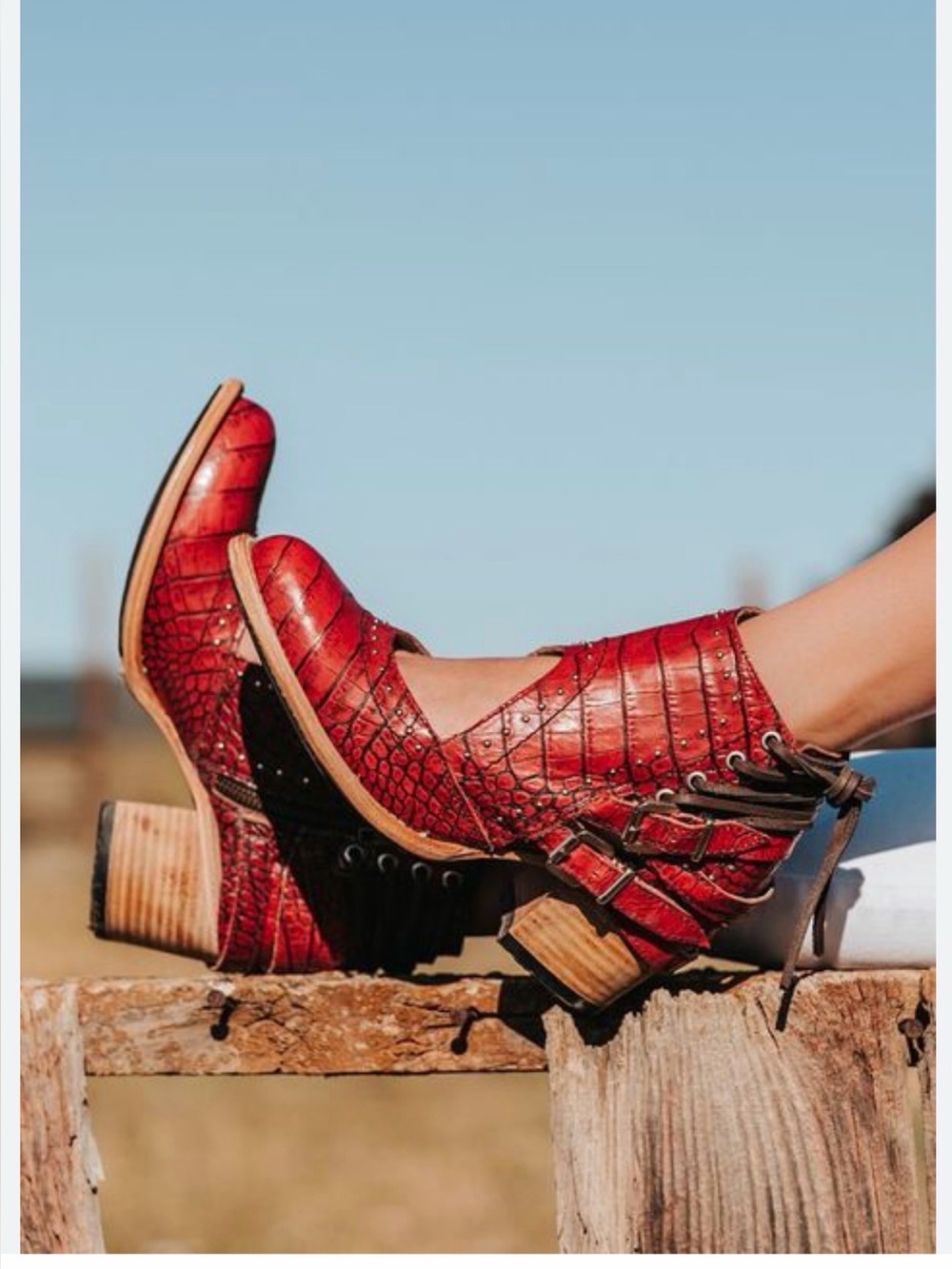 FREEBIRD “DESERT” shoes